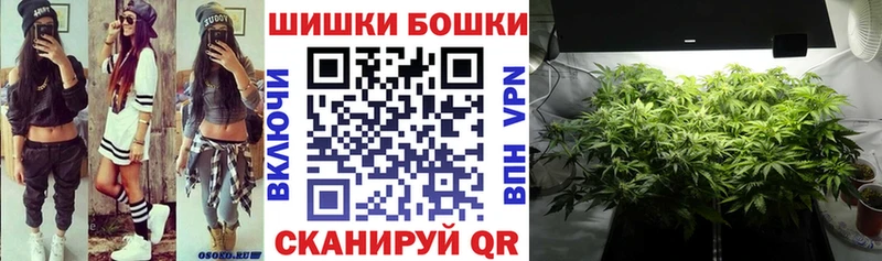 Купить закладку Чекалин Вейп ТГК Каннабис Галлюциногенные грибы Меф мяу мяу ГАШИШ
