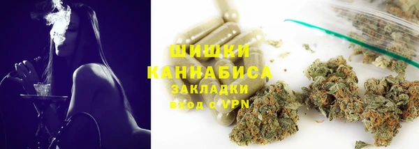 индика Липки
