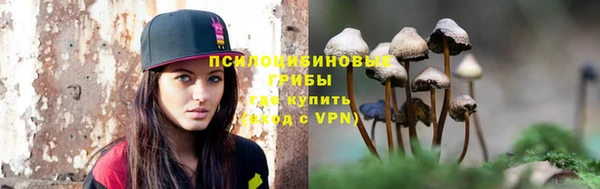 индика Липки