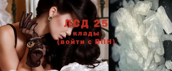 индика Липки