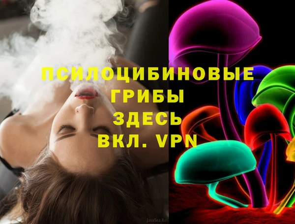 индика Липки