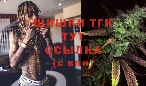 индика Липки