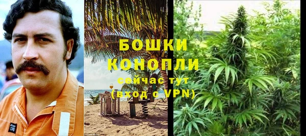 индика Липки